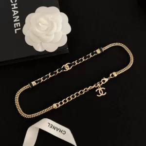 Luxury Womens Jewelry Chanel Necklace Chanel CC Chain Necklace A39PP165 AA159885