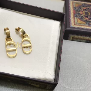 Luxury Womens Jewelry Dior Earring Dior Petit CD Gold Earrings A152PP100 AA164878