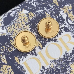 Luxury Womens Jewelry Dior Earring Dior Petit CD Stud Earrings A39PP100 AA171548