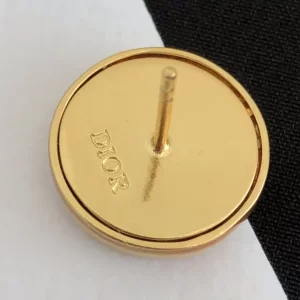 Luxury Womens Jewelry Dior Earring Dior Petit CD Stud Earrings A39PP100 AA171548