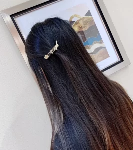 Luxury Womens Jewelry Chanel Hair Clip Chanel 2022 Coco Hair Clip A205PP160 AA172998