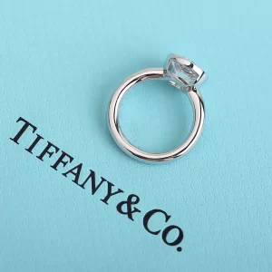 Luxury Womens Jewelry Tiffany Ring Tiffany Bezel Round Rings A205PP280 AA173001