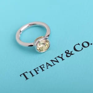 Luxury Womens Jewelry Tiffany Ring Tiffany Bezel Round Rings A205PP280 AA173002
