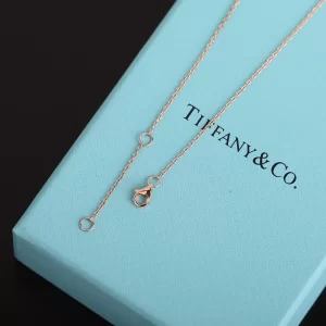 Replica Womens Jewelry Tiffany Diamonds Round Pendant Necklace A205PP280 AA188569