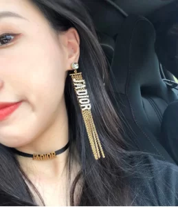 Essenceofluxury Womens Jewelry Dior Jadior Crystals Tassel Earrings A205PP380 AA198915