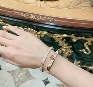 Essenceofluxury Womens Jewelry Hermes H Dancre Diamonds Bangle Bracelets A152PP280 AA199437