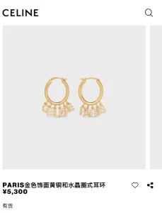 Essenceofluxury Womens Jewelry Dior Crystals Paris Earrings A152PP180 AA203163