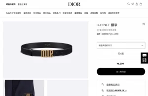 Dior D Fence Black Leather Belt 30MM