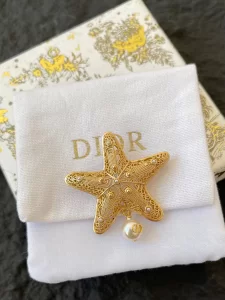 Dior Cabinet De Curiosites Star Brooch