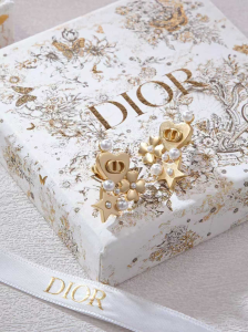 Dior Petit CD Gold Metal Earrings