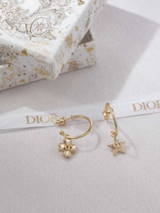 Dior Petit CD Gold Metal Earrings