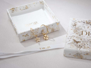 Dior Petit CD Gold Metal Earrings