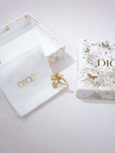 Dior Petit CD Gold Metal Earrings