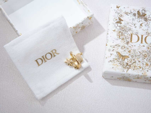 Dior Petit CD Gold Metal Earrings