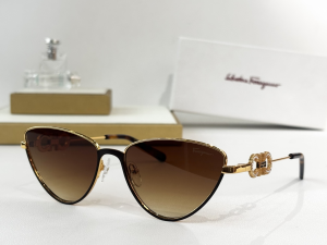 Ferragamo Crystal Demo Cat Eye Luxury Eyewear Sunglasses SF1680L Brown Ferragamo Crystal Demo Cat Eye Luxury Eyewear Sunglasses SF1680L Brown