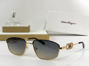 Ferragamo Crystal Vista Frames Luxury Eyewear Sunglasses SF1681L Gray Ferragamo Crystal Vista Frames Luxury Eyewear Sunglasses SF1681L Gray