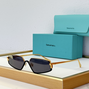 Tiffany T Rectangle Luxury Eyewear Sunglasses TF3113KB Black Tiffany T Rectangle Luxury Eyewear Sunglasses TF3113KB Black