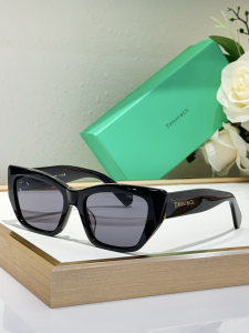 Tiffany Cat Eye Luxury Eyewear Sunglasses TF5022 Black Tiffany Cat Eye Luxury Eyewear Sunglasses TF5022 Black