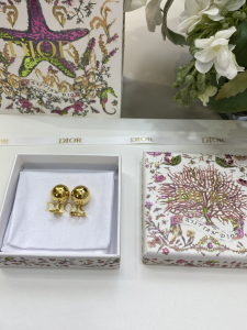 Dior Tribales Gold Metal Earrings