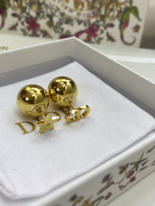 Dior Tribales Gold Metal Earrings
