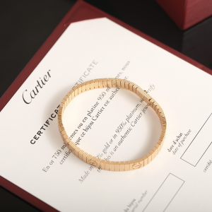 Cartier LOVE Unlimited Bracelets