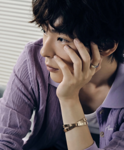 Cartier LOVE Unlimited Bracelets