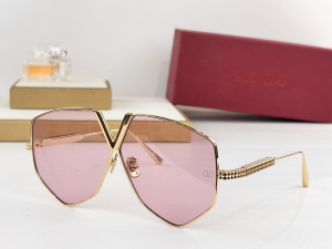 Valentino V Hexagon Luxury Eyewear Sunglasses VLS115C64 Pink Valentino V Hexagon Luxury Eyewear Sunglasses VLS115C64 Pink