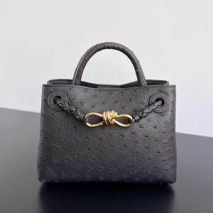 Bottega Veneta Mini Andiamo Ostrich Leather Top Handle Crossbody Bag Dark Brown Bottega Veneta Mini Andiamo Ostrich Leather Top Handle Crossbody Bag Dark Brown