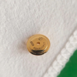 Bottega Veneta Enamel Drop Earrings