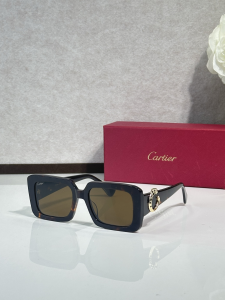 Cartier Luxury Eyewear Sunglasses CT0896s Gray Cartier Luxury Eyewear Sunglasses CT0896s Gray