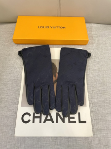 Louis Vuitton Blue Monogram Canvas Glove