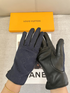 Louis Vuitton Blue Monogram Canvas Glove
