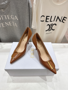 Dior Brown Leather Pumps 85MM