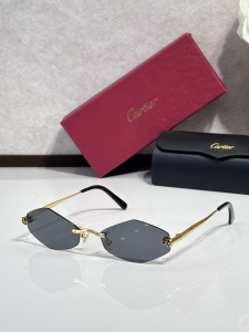 Cartier Luxury Eyewear Sunglasses CT0433S Gray Cartier Luxury Eyewear Sunglasses CT0433S Gray