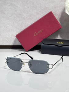 Cartier Luxury Eyewear Sunglasses CT0468S Gray Cartier Luxury Eyewear Sunglasses CT0468S Gray
