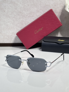Cartier Luxury Eyewear Sunglasses CT0468S Gray Cartier Luxury Eyewear Sunglasses CT0468S Gray