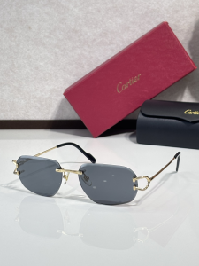 Cartier Luxury Eyewear Sunglasses CT0468S Gray Cartier Luxury Eyewear Sunglasses CT0468S Gray