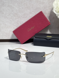 Cartier Luxury Eyewear Sunglasses CT0503S Gray Cartier Luxury Eyewear Sunglasses CT0503S Gray