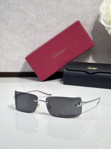 Cartier Luxury Eyewear Sunglasses CT0503S Gray Cartier Luxury Eyewear Sunglasses CT0503S Gray