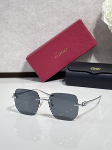 Cartier Luxury Eyewear Sunglasses CT0549S Gray Cartier Luxury Eyewear Sunglasses CT0549S Gray