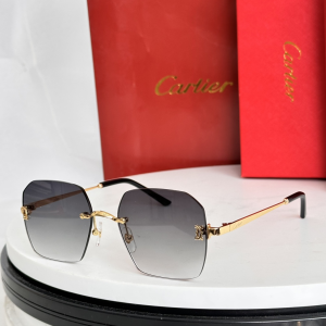 Cartier Luxury Eyewear Sunglasses CT0591S Gray Cartier Luxury Eyewear Sunglasses CT0591S Gray