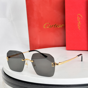 Cartier Luxury Eyewear Sunglasses CT0591S Gray Cartier Luxury Eyewear Sunglasses CT0591S Gray