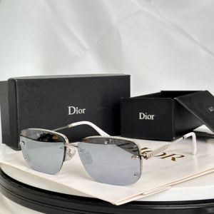 Dior Luxury Eyewear Sunglasses DIORS4U Gray Dior Luxury Eyewear Sunglasses DIORS4U Gray