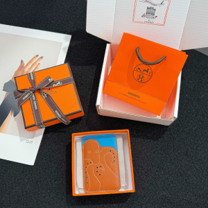 Hermes Frog MagSafe Card Holder Brown Blue