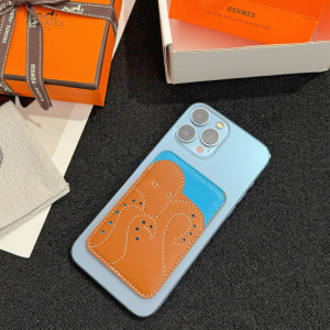 Hermes Frog MagSafe Card Holder Brown Blue