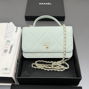 Chanel CC Classic Wallet on Chain WOC Top Handle Shoulder Crossbody Bag Light Blue Chanel CC Classic Wallet on Chain WOC Top Handle Shoulder Crossbody Bag Light Blue