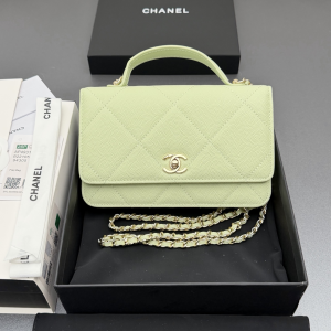 Chanel CC Classic Wallet on Chain WOC Top Handle Shoulder Crossbody Bag Light Green Chanel CC Classic Wallet on Chain WOC Top Handle Shoulder Crossbody Bag Light Green