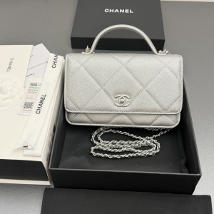 Chanel CC Classic Wallet on Chain WOC Top Handle Shoulder Crossbody Bag Silver Chanel CC Classic Wallet on Chain WOC Top Handle Shoulder Crossbody Bag Silver