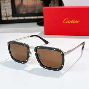 Cartier Santos De Cartier Aviator Luxury Eyewear Sunglasses CT0577S Brown Black Cartier Santos De Cartier Aviator Luxury Eyewear Sunglasses CT0577S Brown Black