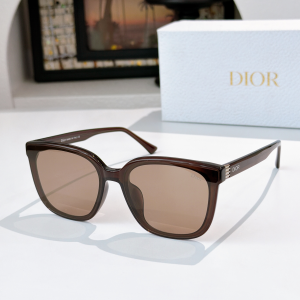 Dior Signature Luxury Eyewear Sunglasses CD0260S Gray Dior Signature Luxury Eyewear Sunglasses CD0260S Gray